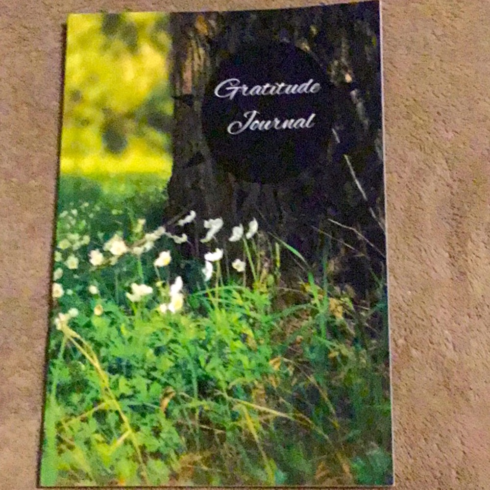 Gratitude Journal